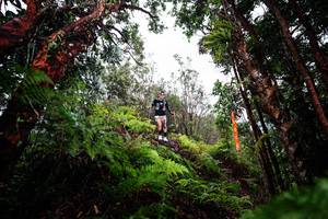 BIB: 
                            <button type="button" onclick="openModal(26201251)" class="btn btn-primary btn-sm float-right btn-popup" data-toggle="modal" data-target=".modal-high-quality">
                        <i class="fas fa-shopping-cart"></i> Add to Cart
                    </button>
                                            <button type="button" onclick="isThisMe(26201251, true)" class="btn btn-success btn-sm float-right btn-popup btn-isme hidden" data-toggle="tooltip" data-placement="bottom" title="นี่คือรูปของคุณใช่ไหม คลิกที่นี่เพื่อเอาเข้าอัลบั้ม">
                        <i class="fas fa-plus"></i> Add to album
                    </button>
                    <button type="button" onclick="isThisMe(26201251, false)" class="btn btn-warning btn-sm float-right btn-popup btn-isnotme hidden">
                        <i class="fas fa-ban"></i> Remove from album
                    </button>